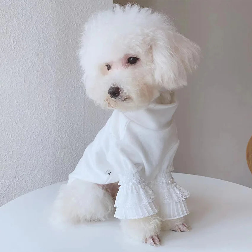 Winter Cat & Dog Clothes – Warm Lace Pet Clothing for Small Dogs & Yorkies