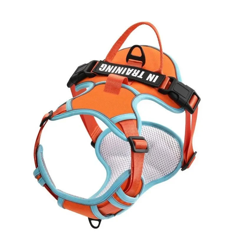 Adjustable Reflective Dog Harness – No-Pull, Breathable, Personalized