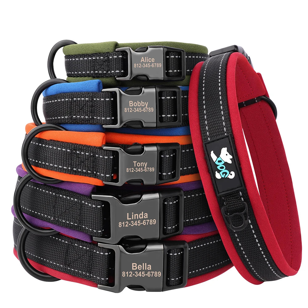 Reflective Personalized Dog Collar with Engraved ID – Soft Padded Nylon Adjustable Collar for All Dog Sizes Ditzy Petunia