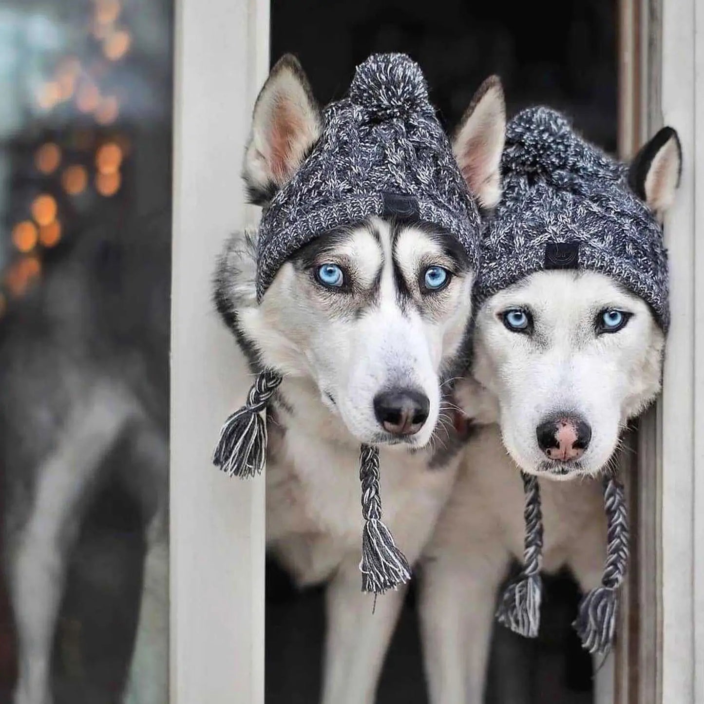 🐾 Cozy Cable-Knit Dog Hat – Winter Warmth with Style