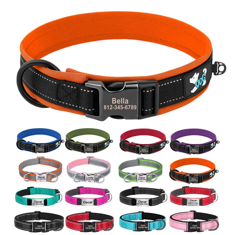 Reflective Personalized Dog Collar with Engraved ID – Soft Padded Nylon Adjustable Collar for All Dog Sizes Ditzy Petunia