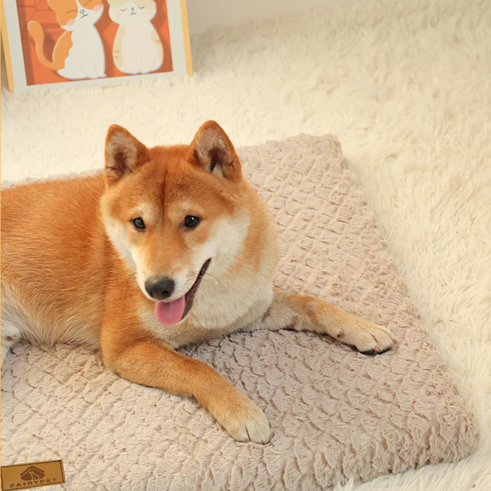 Removable & Machine-Washable Corduroy Dog Bed – Cozy, Durable & Versatile Pet Sofa