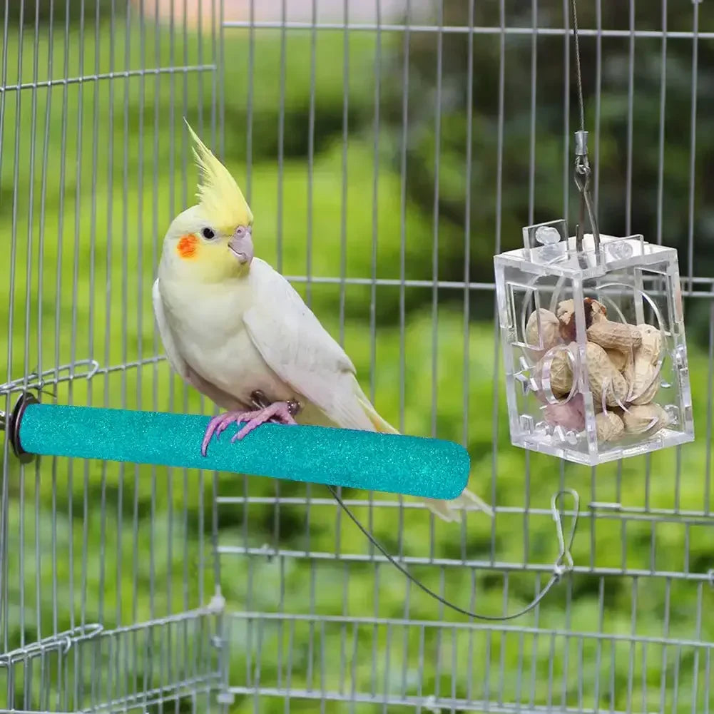 Natural Wooden Parrot Perch Stick – Non-Toxic Colored Sand Chewing & Claw Grinding Toy for Birds & Small Pets