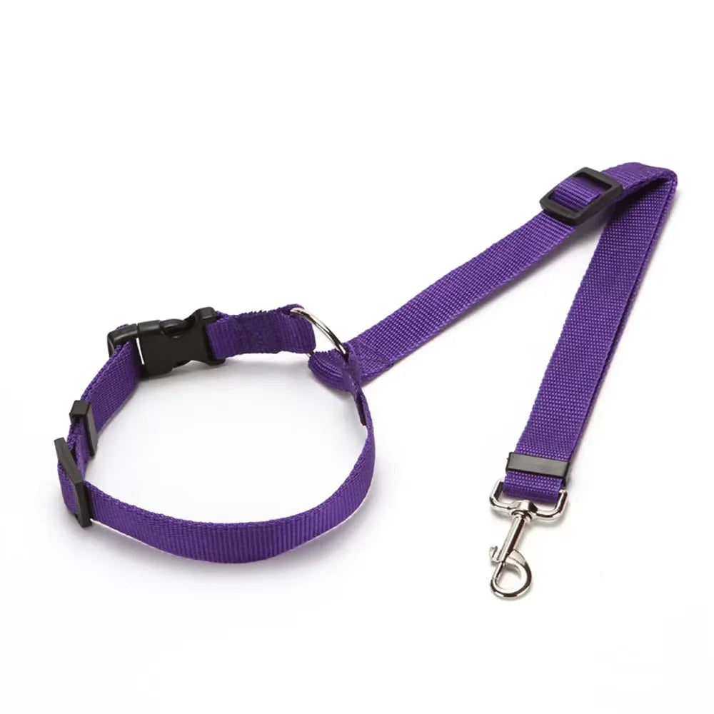 Adjustable Pet Car Seat Belt Leash - Durable Safety Harness for Dogs and Cats Ditzy Petunia