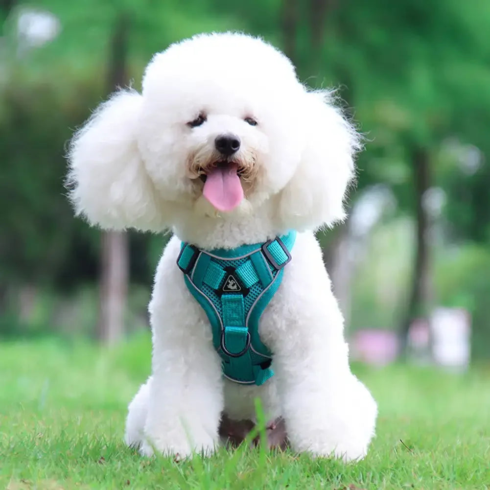Reflective Adjustable Saddle Dog Harness & Leash Set – No-Pull Halter for Small to Large Dogs