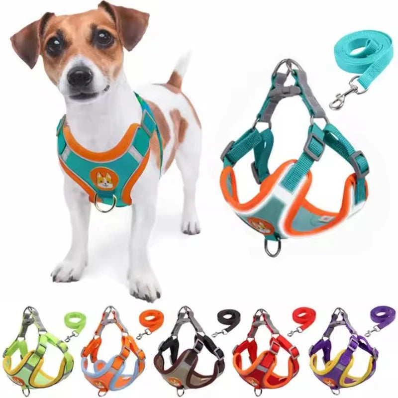 Adjustable Dog Harness & Leash Set | Reflective Anti-Pull Vest for Small & Medium Dogs | Safe, Durable, and Breathable Ditzy Petunia