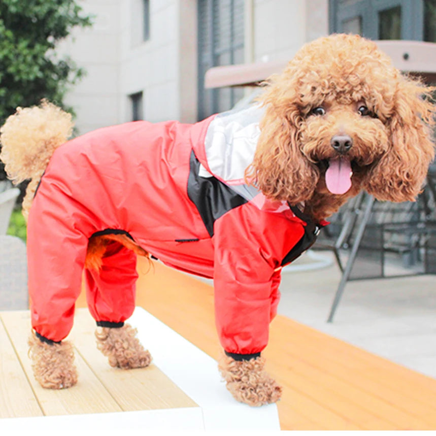 Fashionable Waterproof Pet Raincoat with Hoodie for Dogs, XS-4XL, Light & Comfortable Ditzy Petunia
