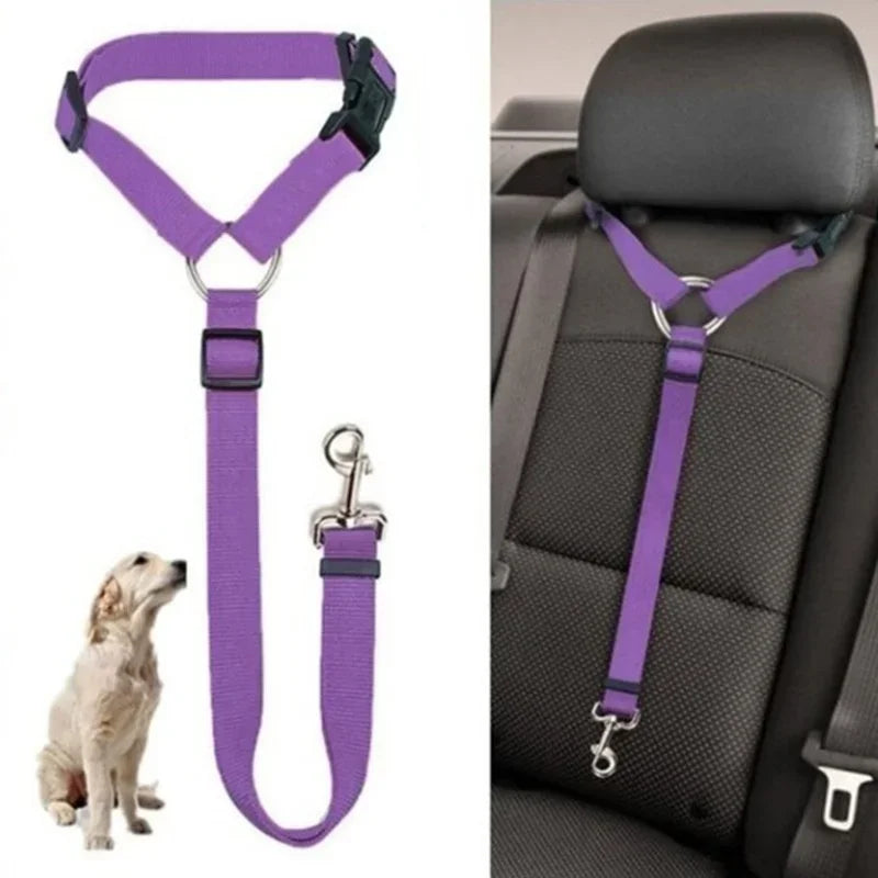 Adjustable Pet Car Seat Belt Leash - Durable Safety Harness for Dogs and Cats Ditzy Petunia