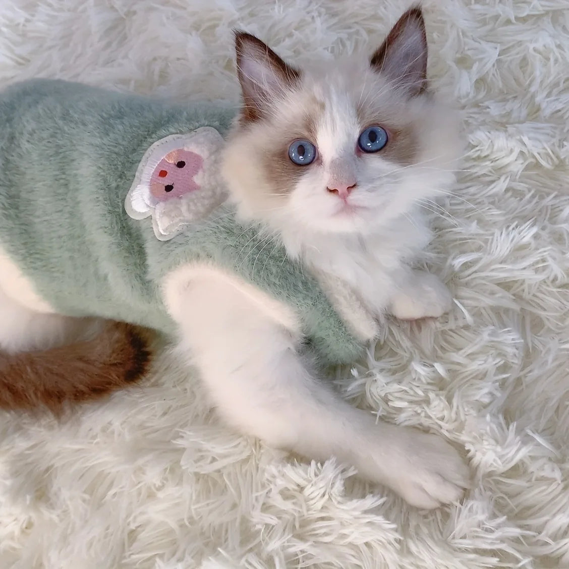 Fashion Cat Vest for Autumn & Winter – Solid Color Warm Kitten & Small Dog Sweater, Cozy Pet Clothes