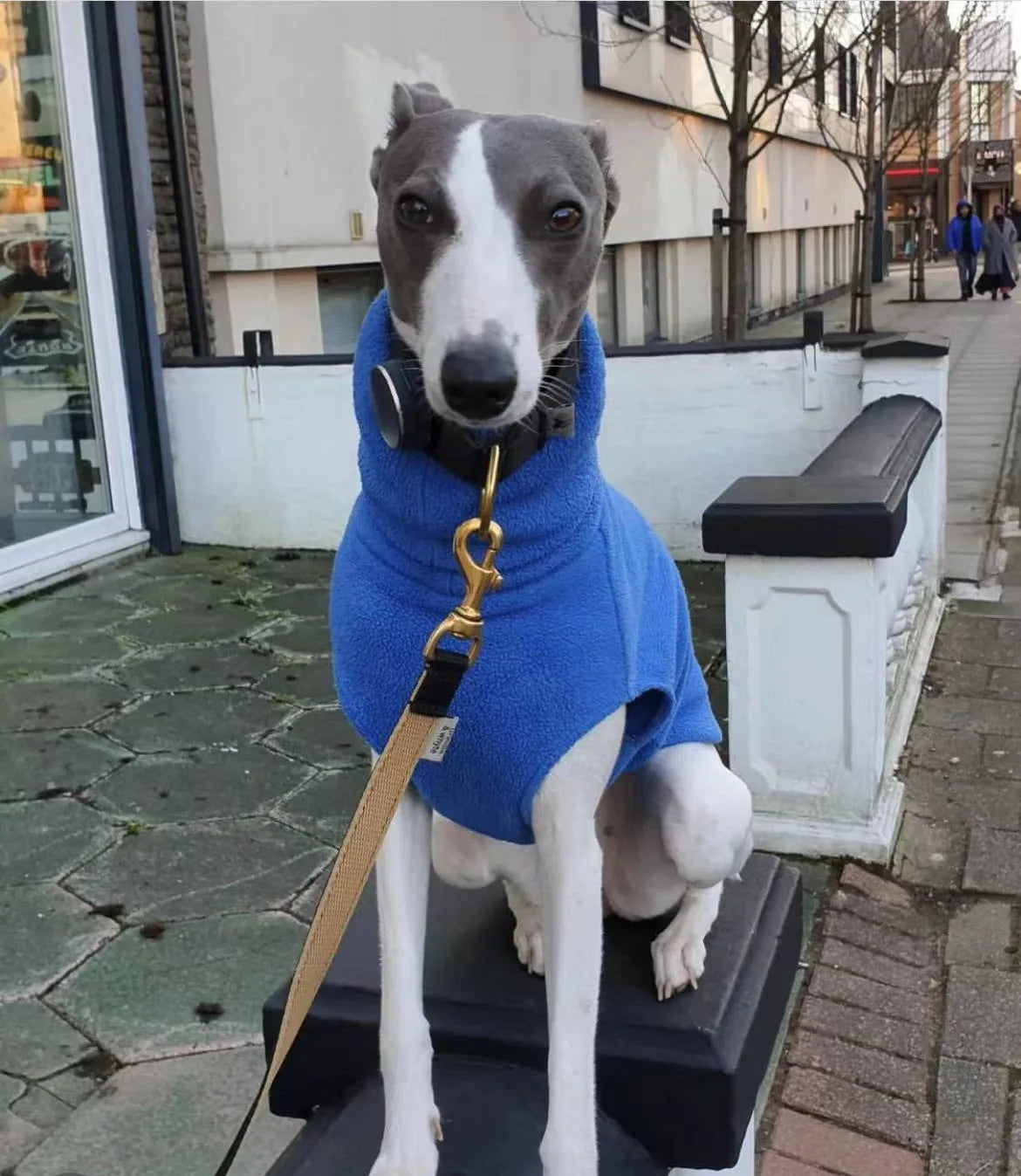Fleece Turtleneck Dog Vest - Winter Warm Clothes for Italian Greyhounds & Whippets