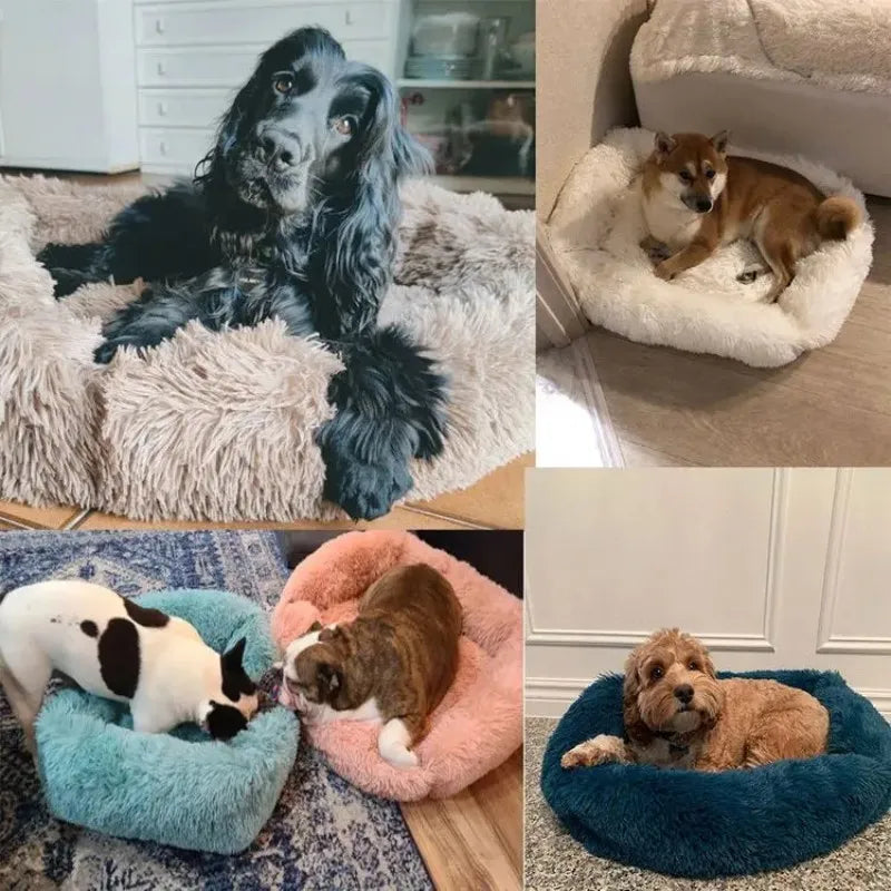Rectangle Plush Dog Bed - Winter Warm Mat for Small, Medium, Large Dogs & Cats | Kennel, Puppy Cushion, Sofa Accessories Ditzy Petunia