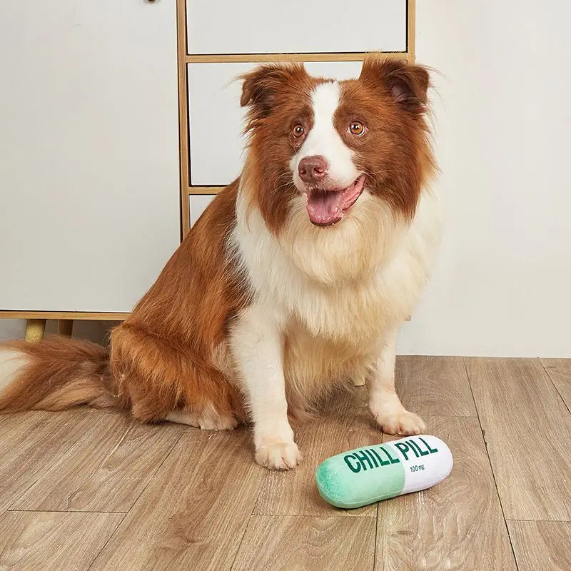 Vocal Pet Plush Toy - Chill Pill Capsule Shape, Bite Resistant Fabric, Built-in BB Vocal Sound