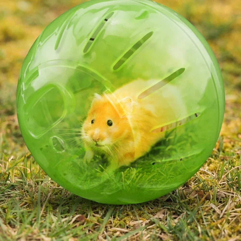 Plastic Rodent Mini Jogging Ball – Hamster, Gerbil & Mouse Exercise Toy