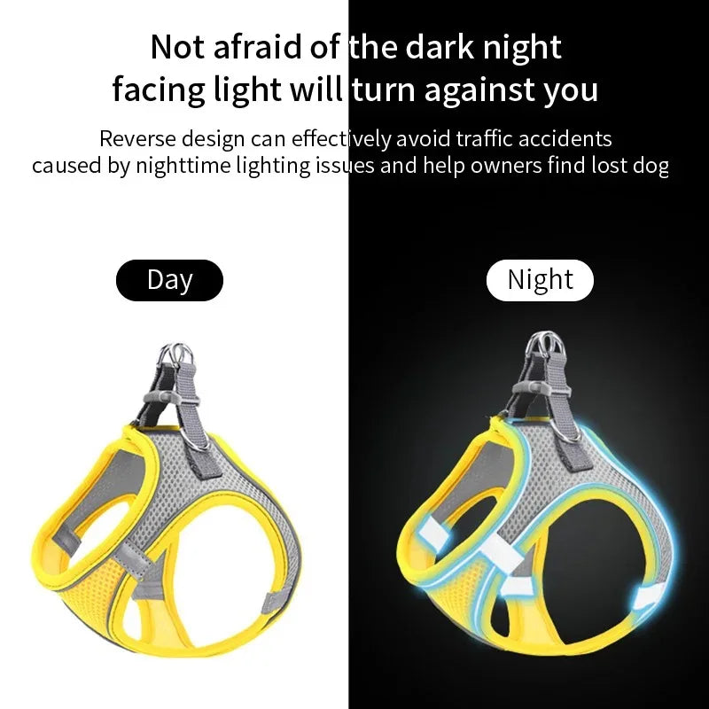 Reflective Dog Harness and Leash Set - Soft, Comfortable, Breakaway Design for Safe Walks Ditzy Petunia