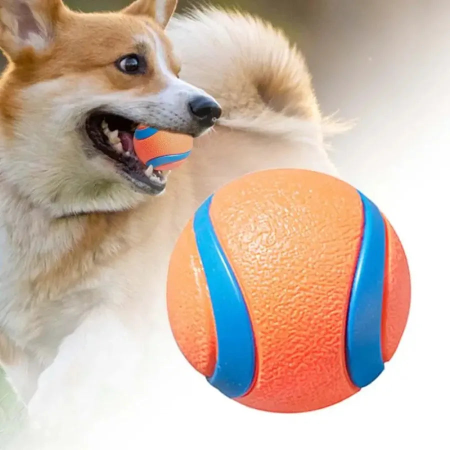 Dog Chew Toy Ball | Rubber Dog Ball for Teeth Cleaning, Chewing, and Play | Durable Pet Toy for Small, Medium, and Large Dogs
