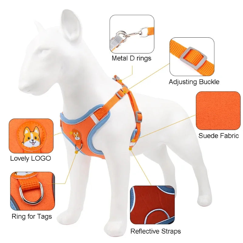 Adjustable Dog Harness & Leash Set | Reflective Anti-Pull Vest for Small & Medium Dogs | Safe, Durable, and Breathable Ditzy Petunia