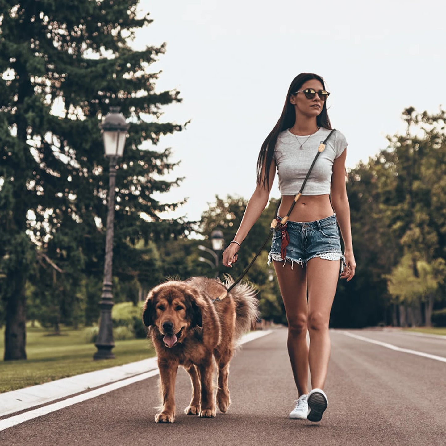 Hands-Free Double Dog Leash – Personalized, Luxury Nylon Leash for Small & Large Dogs