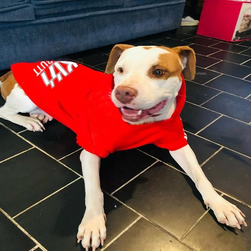 Velvet Warm Dog Sweaters – Hoodies for Large, Medium, and Small Dogs