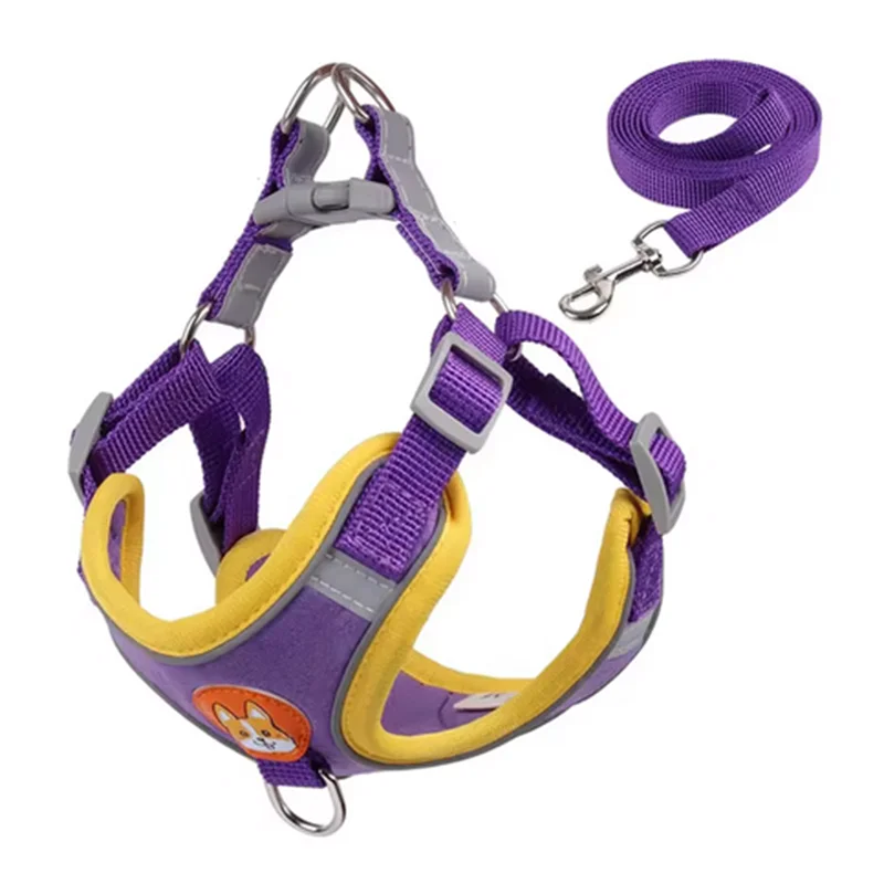 Adjustable Dog Harness & Leash Set | Reflective Anti-Pull Vest for Small & Medium Dogs | Safe, Durable, and Breathable Ditzy Petunia