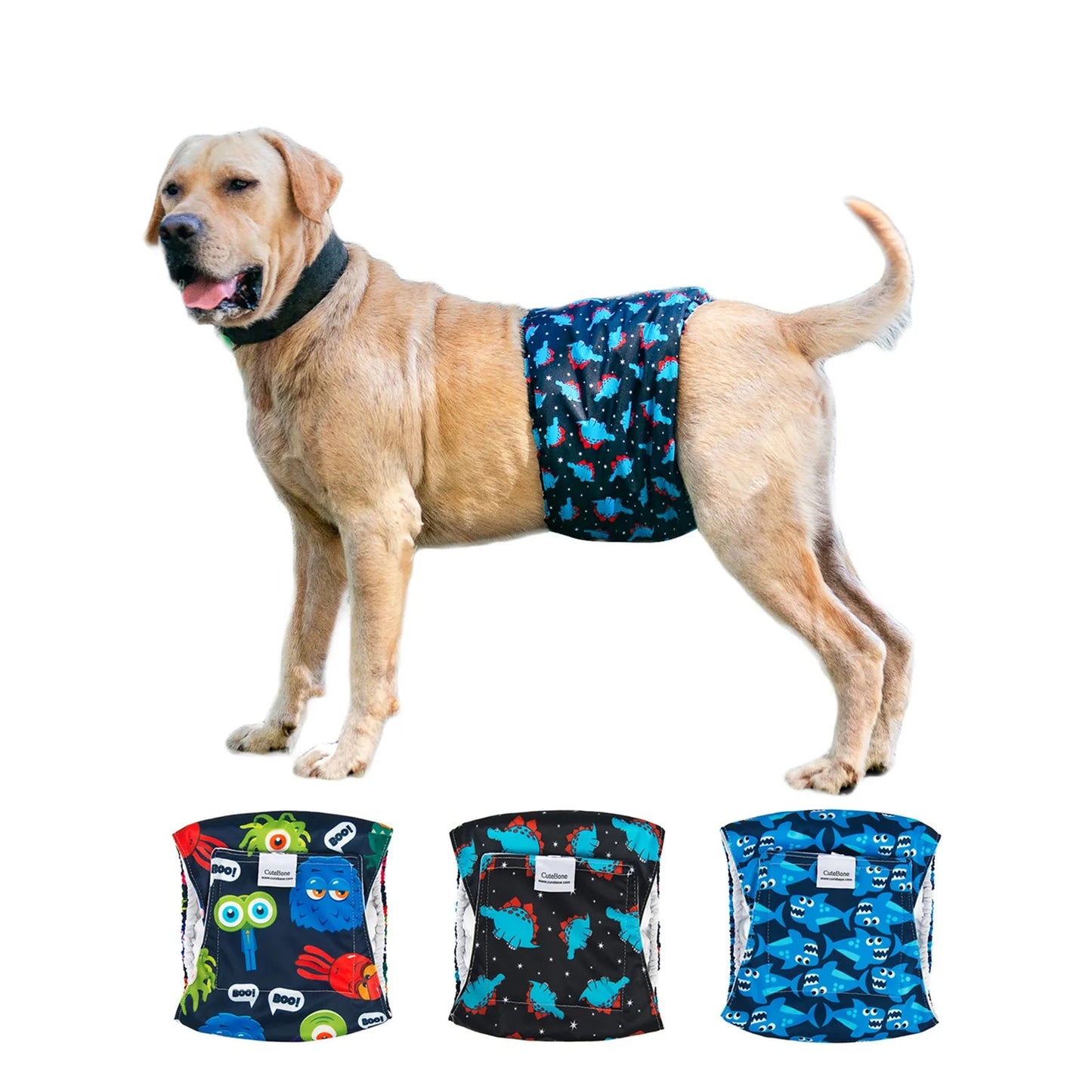 Washable Male Dog Diapers – Reusable Belly Bands with Leak-Proof Absorbent Pads for Puppies & Incontinent Dogs (Pack of 3) Ditzy Petunia