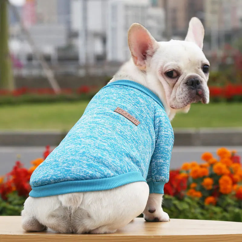 🐶 Cozy Autumn Dog Sweatshirt – Warm Pet Jacket for Small & Medium Dogs
