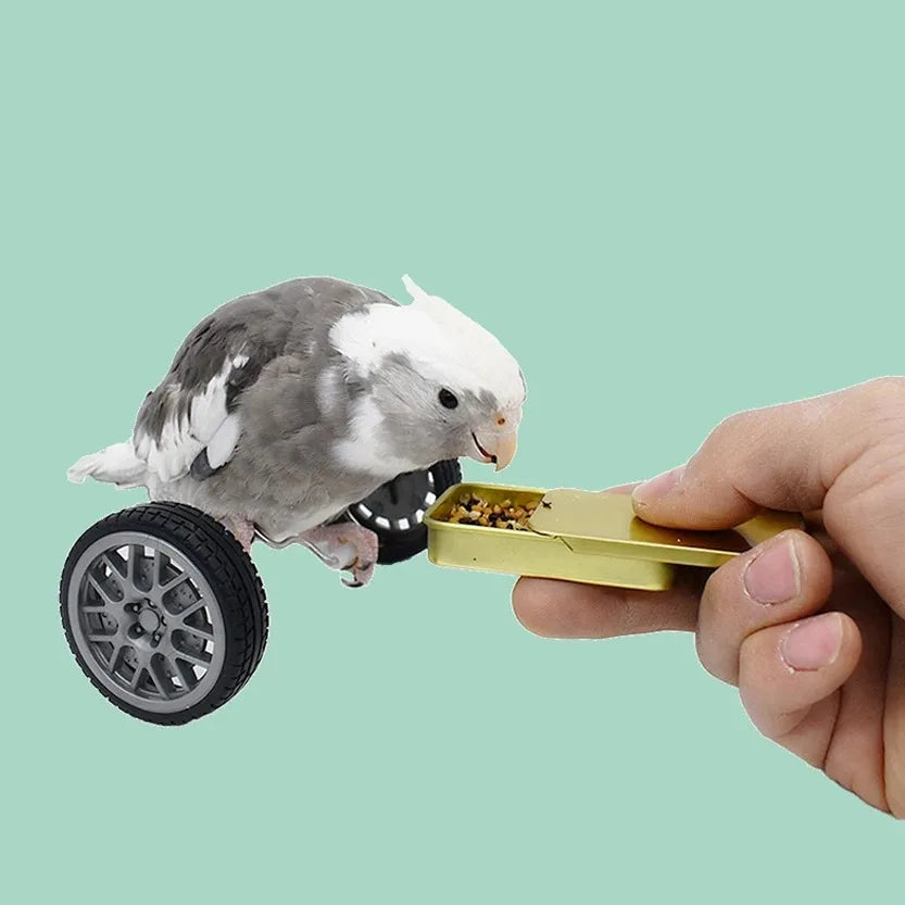 Parrot balance toy, bird intelligence training toy, interactive bird toy, mini parrot toy, small bird balance toy, plastic bird toys, cockatiel training toys, lovebird mental stimulation toys, bird cage accessories, active bird play toys.