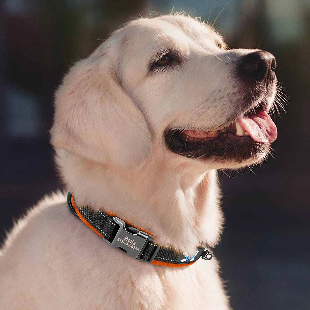 Reflective Personalized Dog Collar with Engraved ID – Soft Padded Nylon Adjustable Collar for All Dog Sizes Ditzy Petunia