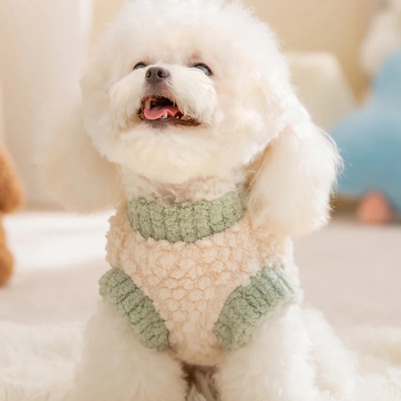 Warm Autumn Dog Hoodies – Plush Fashion Print Pullovers for Small Dogs & Cats, Chihuahua Pet Sweater