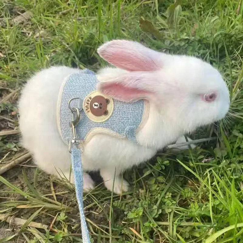 Cute Rabbit Harness & Leash Set – Soft & Secure Bunny Vest for Outdoor Adventures
