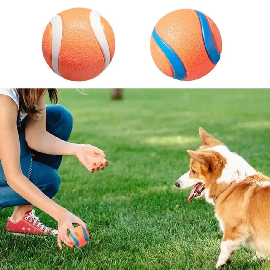 Dog Chew Toy Ball | Rubber Dog Ball for Teeth Cleaning, Chewing, and Play | Durable Pet Toy for Small, Medium, and Large Dogs
