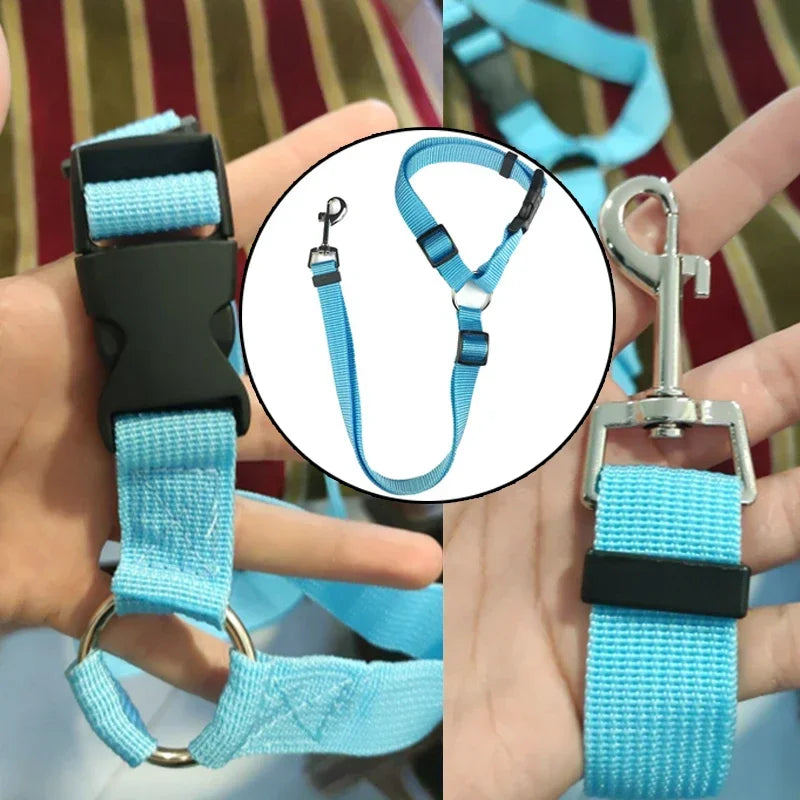 Adjustable Pet Car Seat Belt Leash - Durable Safety Harness for Dogs and Cats Ditzy Petunia