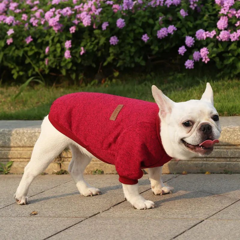 🐶 Cozy Autumn Dog Sweatshirt – Warm Pet Jacket for Small & Medium Dogs
