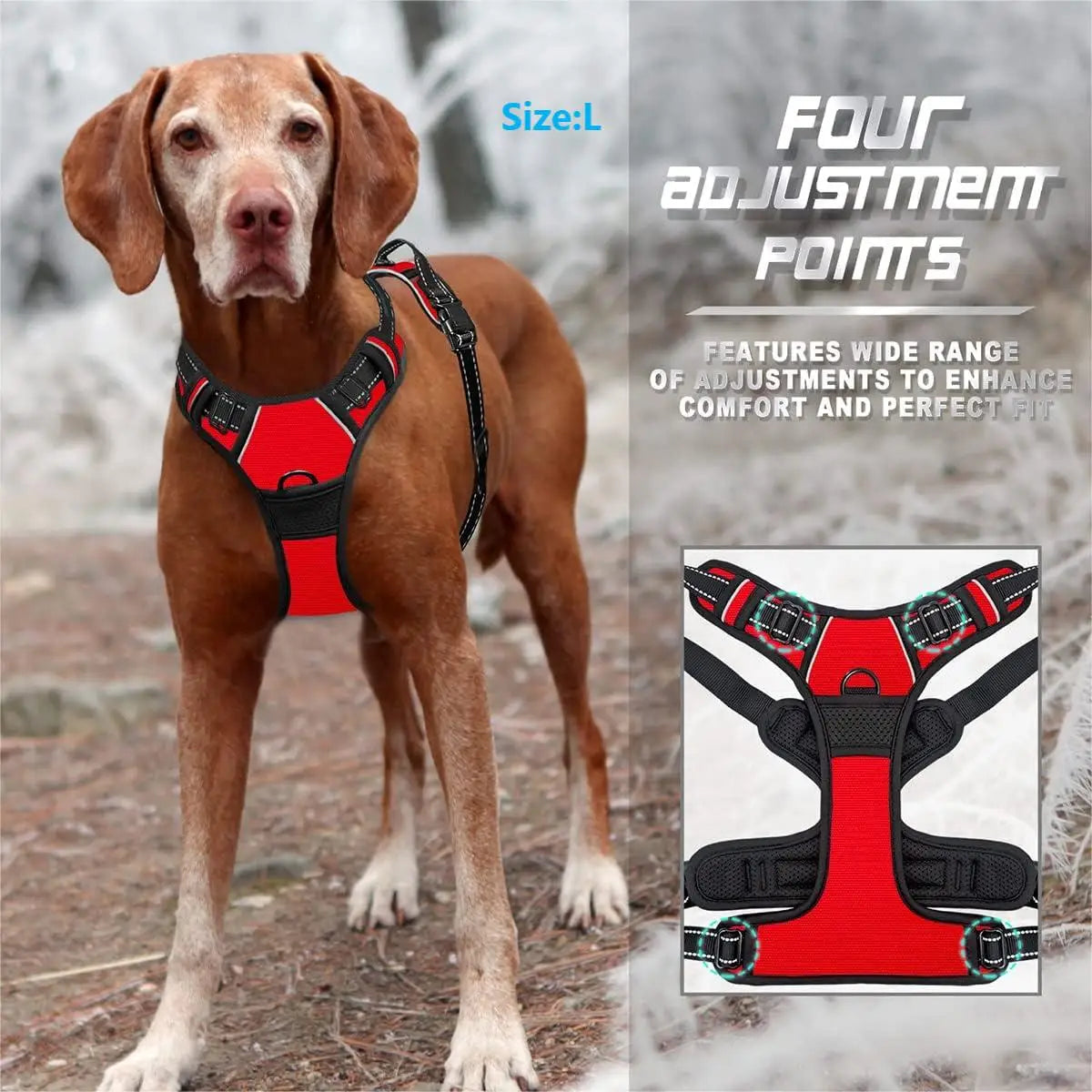 Reflective Vest Dog Harness - Adjustable Comfortable No Pull Harness for All Dog Sizes Ditzy Petunia