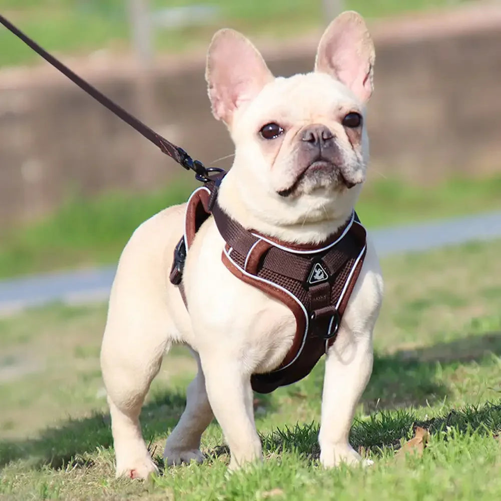 Reflective Adjustable Saddle Dog Harness & Leash Set – No-Pull Halter for Small to Large Dogs