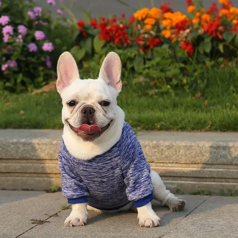 🐶 Cozy Autumn Dog Sweatshirt – Warm Pet Jacket for Small & Medium Dogs