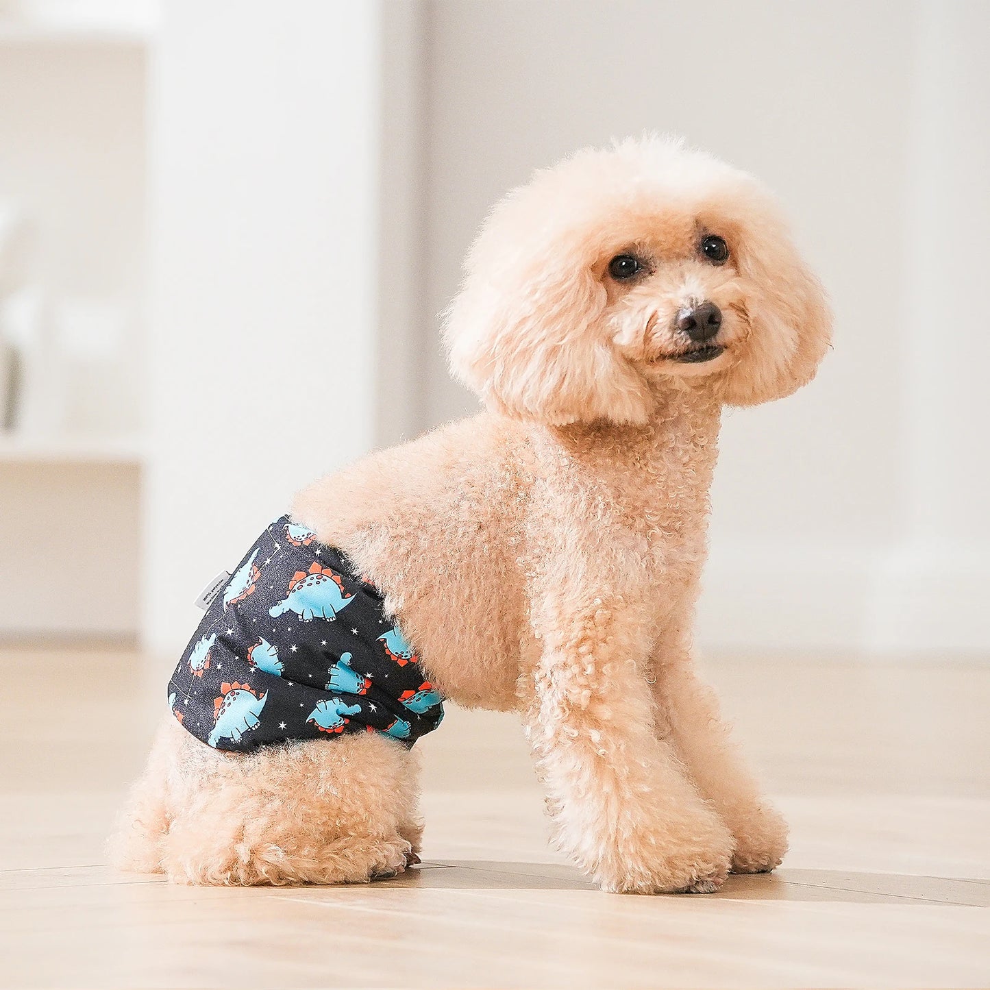 Washable Male Dog Diapers – Reusable Belly Bands with Leak-Proof Absorbent Pads for Puppies & Incontinent Dogs (Pack of 3) Ditzy Petunia