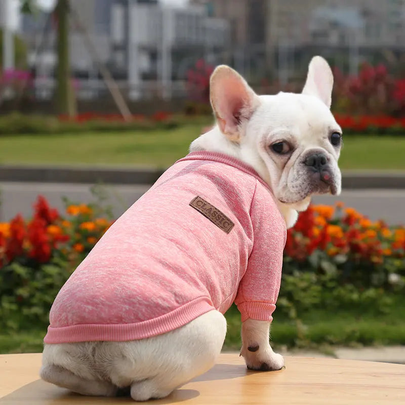 🐶 Cozy Autumn Dog Sweatshirt – Warm Pet Jacket for Small & Medium Dogs
