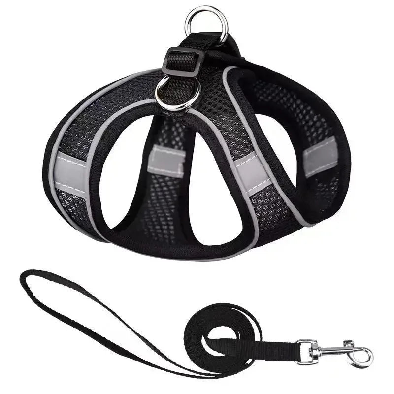 Reflective Dog Harness and Leash Set - Soft, Comfortable, Breakaway Design for Safe Walks Ditzy Petunia