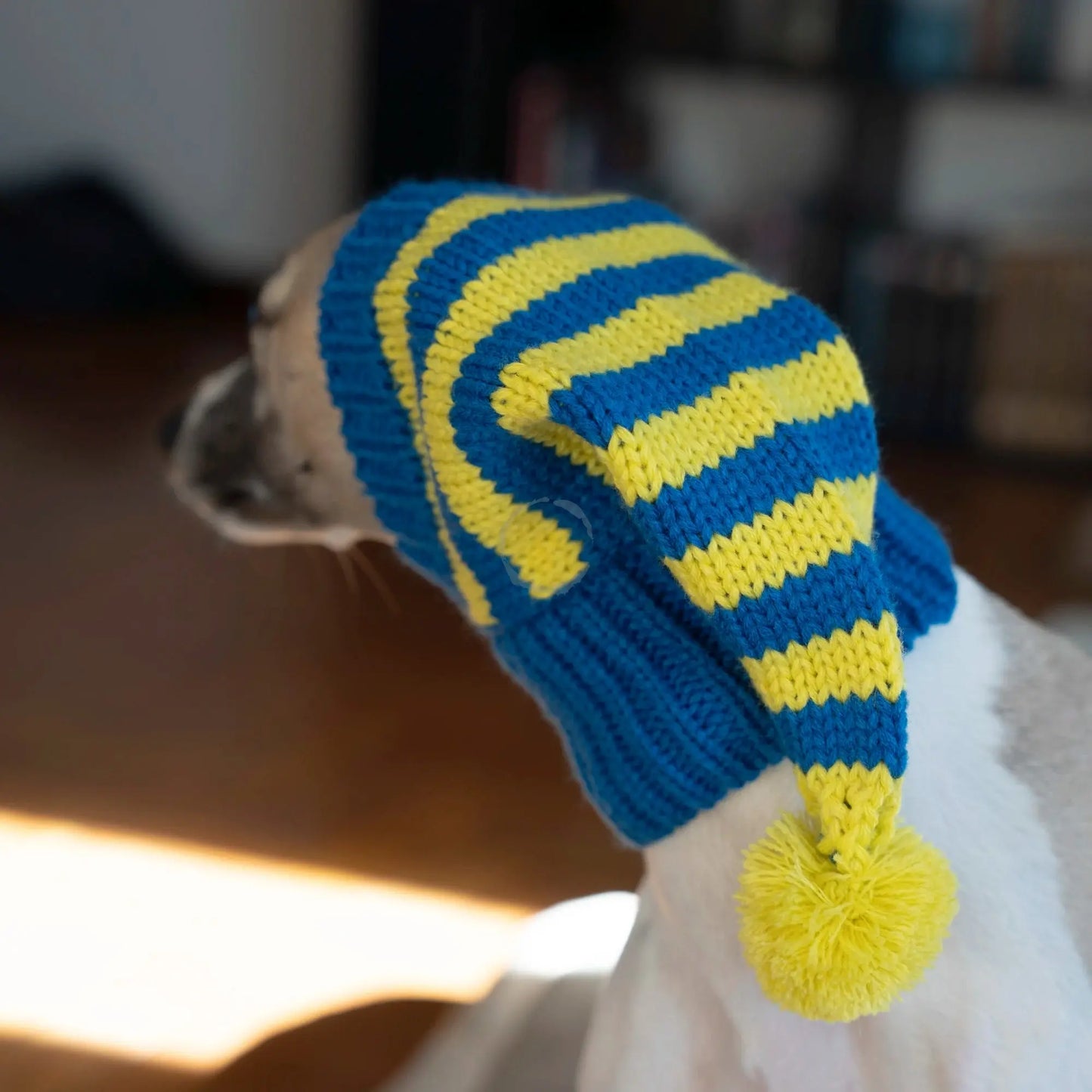 Whippet-Iggy Warm Knitted Pet Hat - Striped Italian Greyhound Winter Hat Ditzy Petunia