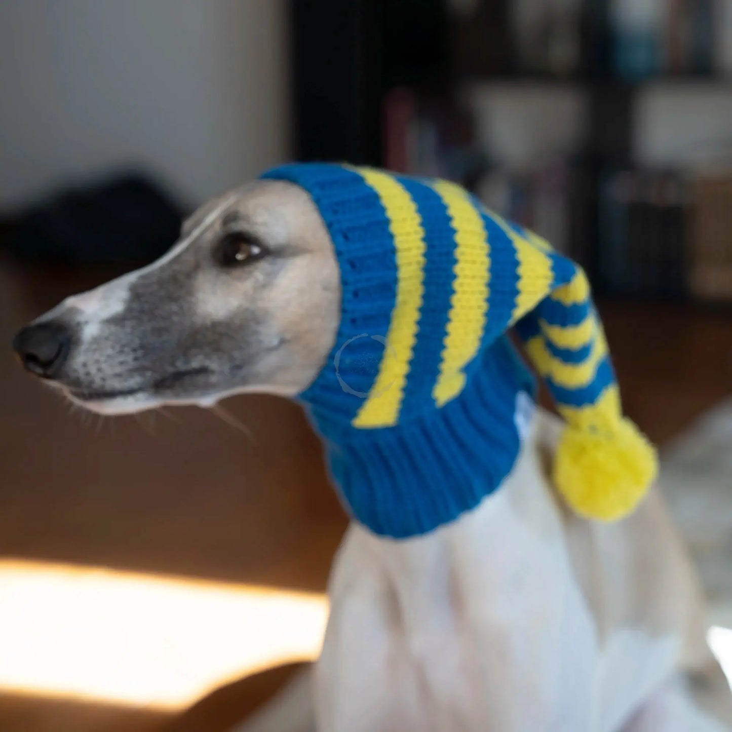 Whippet-Iggy Warm Knitted Pet Hat - Striped Italian Greyhound Winter Hat Ditzy Petunia