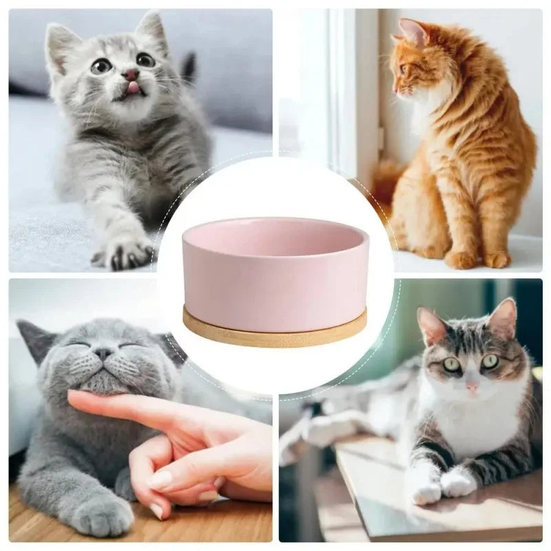 Pet Feeders & Water Bowl
