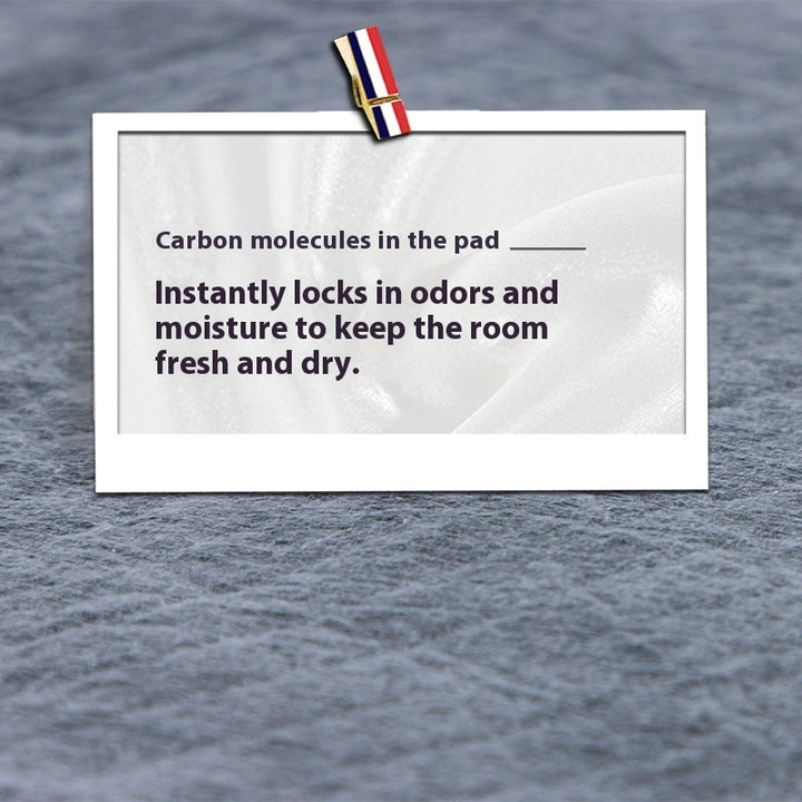 Urinal Pad For Pet Thick Deodorant Diapers Dog Cat Diapers - Ditzy Petunia