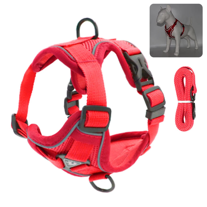 Reflective Padded Cat Harness with Ribbon Detail &amp; Leash – Adjustable &amp; Comfortable Nylon Vest for Cats - Ditzy Petunia