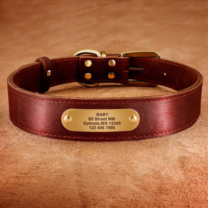 Personalized Genuine Leather Dog Collar & Leash Set – Adjustable & Durable for Small to Large Breeds