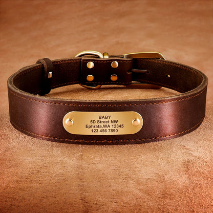 Personalized Genuine Leather Dog Collar & Leash Set – Adjustable & Durable for Small to Large Breeds