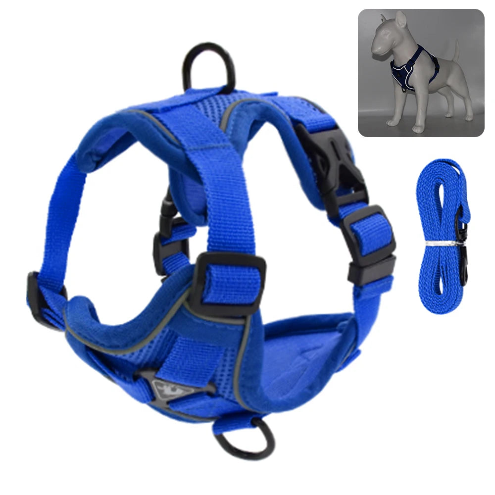 Reflective Padded Cat Harness with Ribbon Detail &amp; Leash – Adjustable &amp; Comfortable Nylon Vest for Cats - Ditzy Petunia
