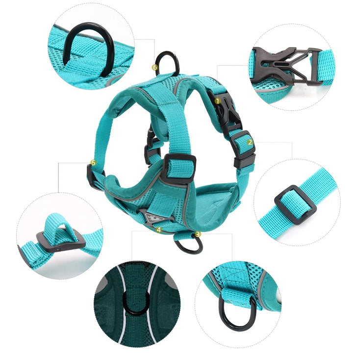 Reflective Padded Cat Harness with Ribbon Detail &amp; Leash – Adjustable &amp; Comfortable Nylon Vest for Cats - Ditzy Petunia