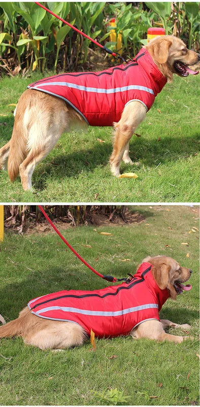 Waterproof Winter Dog Clothes for Large Dogs | Warm Big Dog Jackets | Padded Fleece Pet Coat with Safety Reflective Design | Durable Dog Clothing Ditzy Petunia