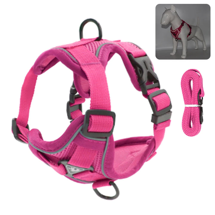 Reflective Padded Cat Harness with Ribbon Detail &amp; Leash – Adjustable &amp; Comfortable Nylon Vest for Cats - Ditzy Petunia