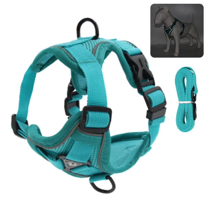 Reflective Padded Cat Harness with Ribbon Detail &amp; Leash – Adjustable &amp; Comfortable Nylon Vest for Cats - Ditzy Petunia